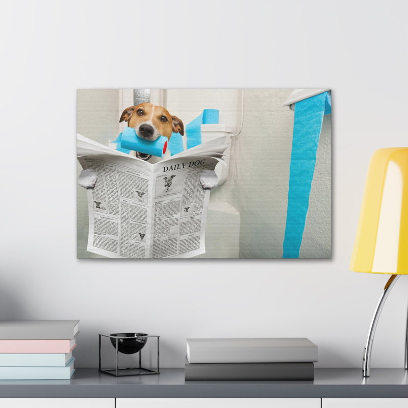 Jack Russell Terrier, H 20 po x l 20 po