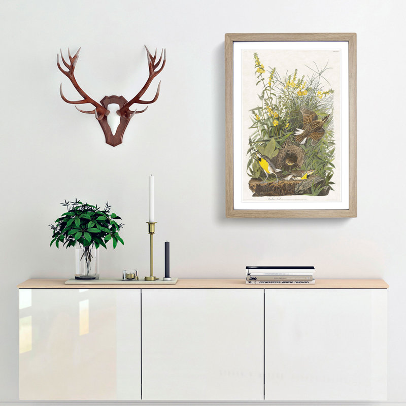 Meadow Larks by John Audubon - Framed Print, 36cm H x 27cm W x 2cm D, Oak Framed