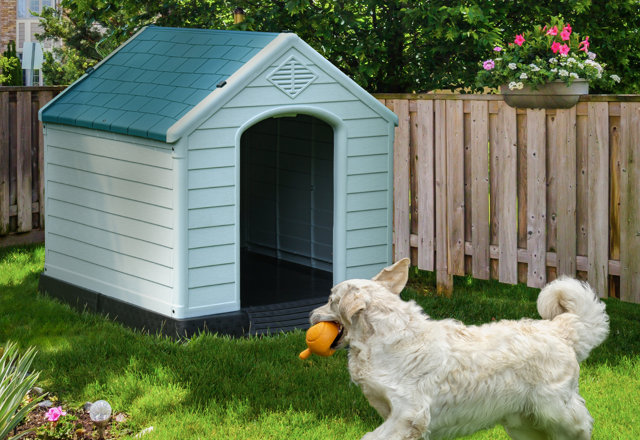 Weather Resistant Dog Houses