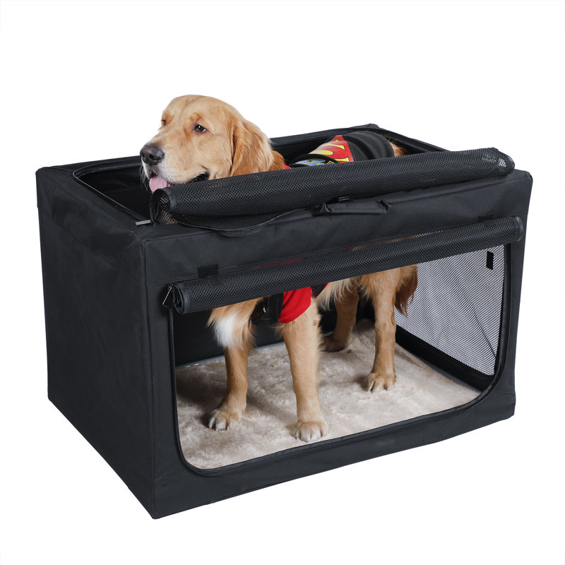 Cage pour chien Cozzi, Grand (H 23 po x l 24 po x P 35,5 po), Noir