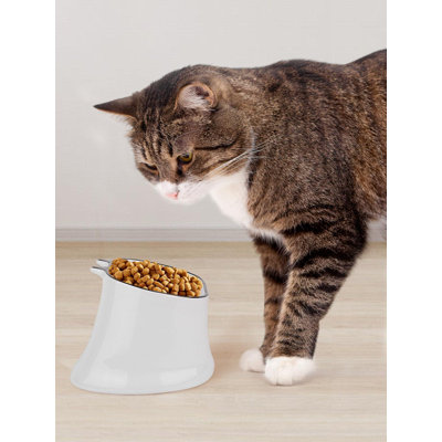 Slow Feeder Cat Bowl  Inches Elevated Cat Food Bowl