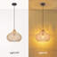 Luminaire suspendu en rotin naturel 1 lumière-105891634