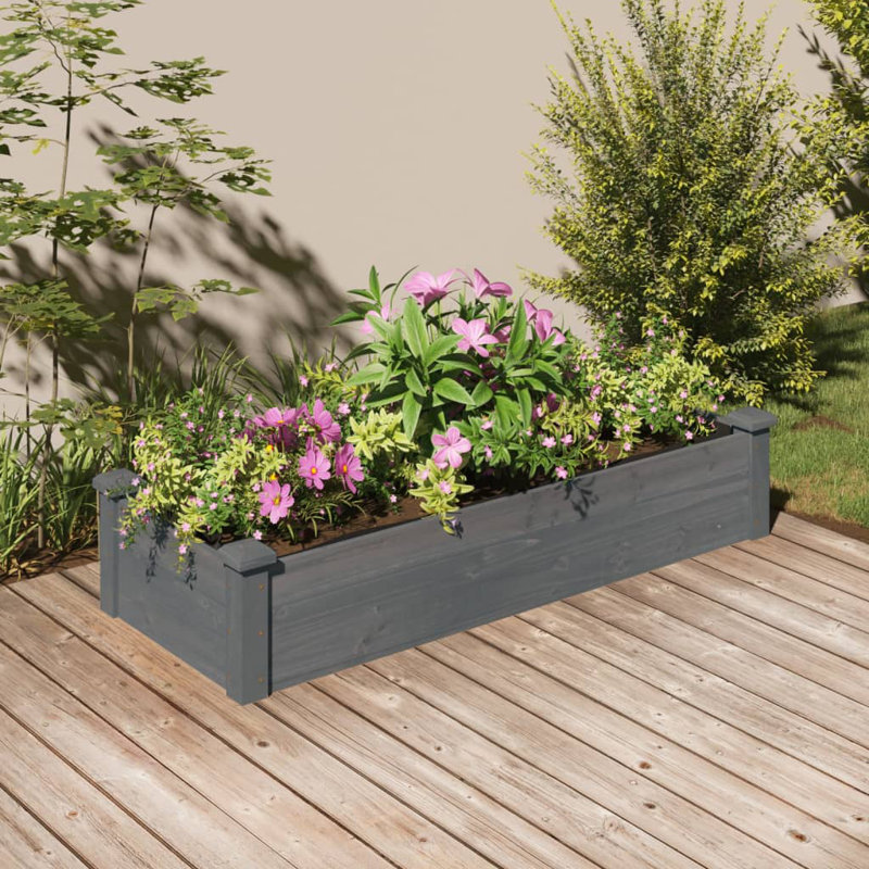 Averion Wood Raised Garden Bed, 25cm H x 120cm W x 45cm D, Grey