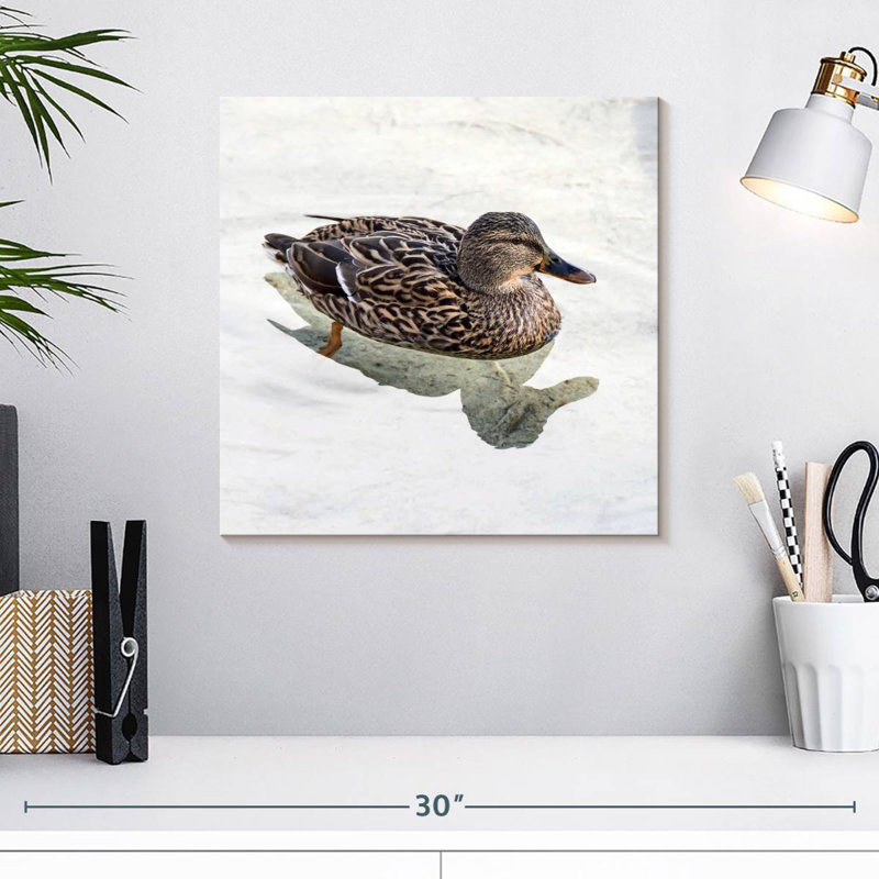 Canard colvert Brampt femelle, H 16 po x l 16 po