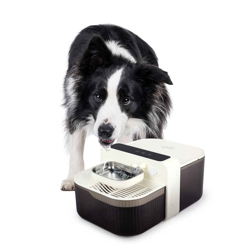 Lifestyle 4 animaux de compagnie-Distributeur d'eau FreshSip