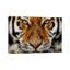 Animal - Tiger par Maximilian San - impression sur toile tendue-31174026