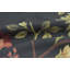 Hand-Knotted High-Quality Green and Black Area Rug