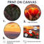 Cactus en fleurs au coucher du soleil II - Cactus, art mural-433165528-433165522-433165349