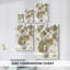 Ginkgo Accent I-234168606