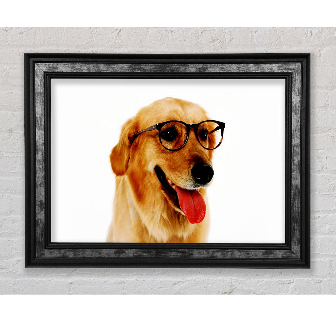 Golden Retriever Nerd - Einzelner Bilderrahmen Kunstdrucke