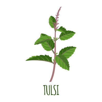 «Tulsi Icon», impression sur toile tendue