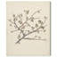 Jahlil baume de Galaad sur toile-1533018224