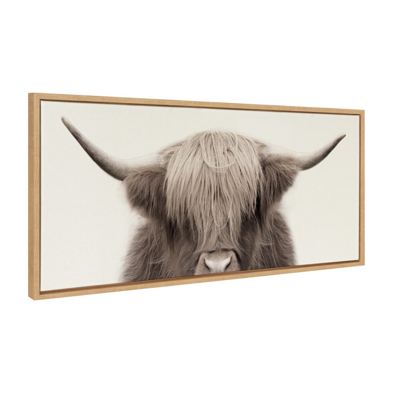 «Hey Dude Highland Cow Color» par The Creative Bunch Studio, reproduction d'art sur toile encadrée, H 18 po x l 40 po