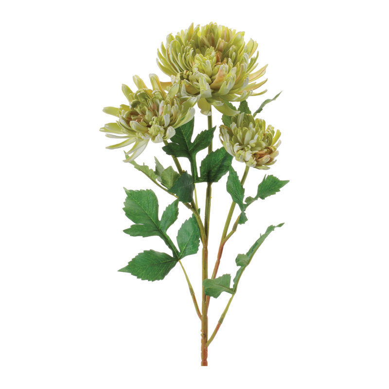 Mum floral, Jaune