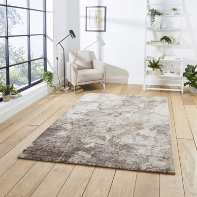 Hanrietta area rug Machine Woven Rectangle Beige/Silver