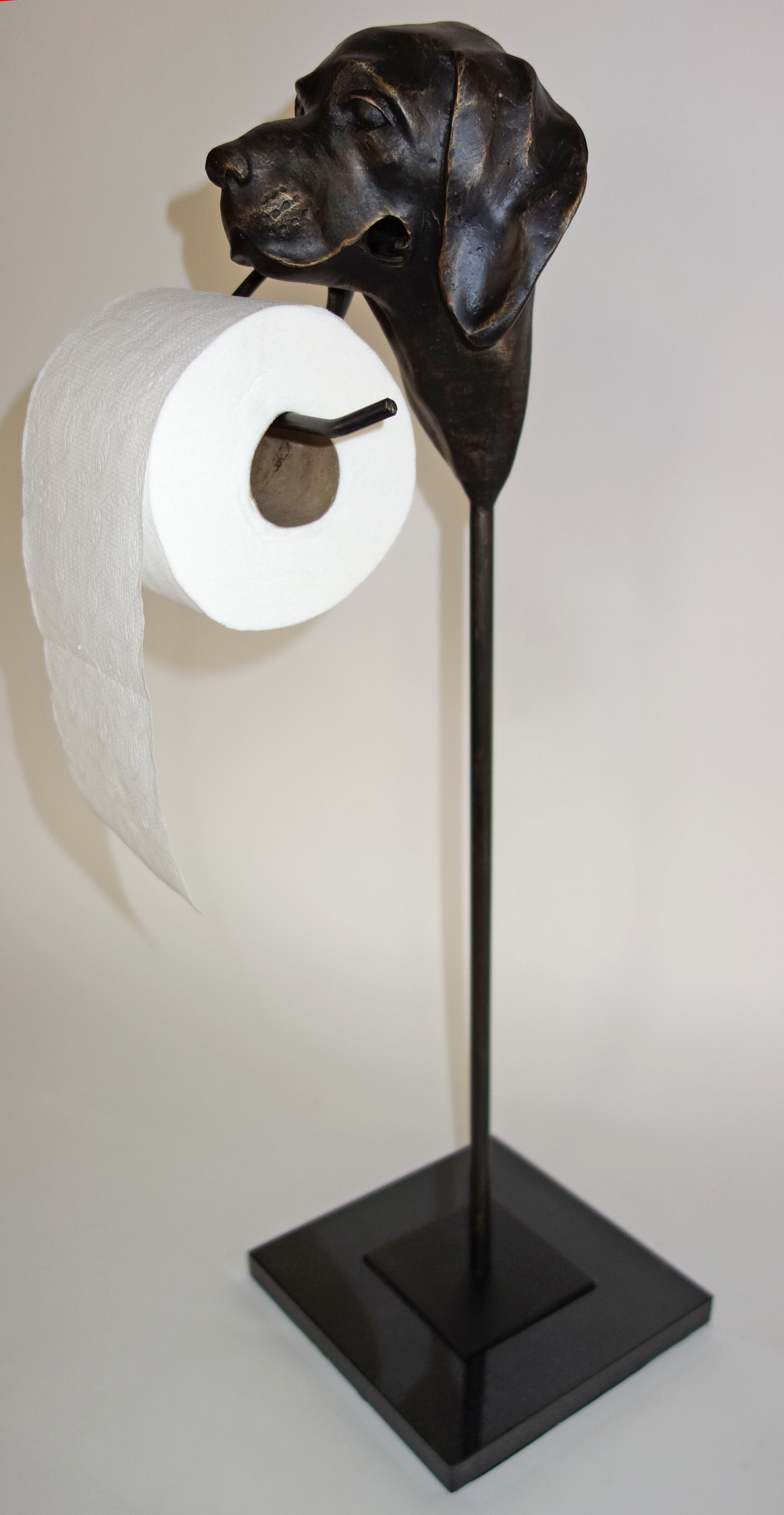 DessauHome Freestanding Toilet Paper Holder & Reviews