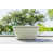 French Gray is out of stock