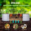 Ensemble de jardin surélevé galvanisé Backyard Expressions Home 8 x 4 x 1 pi, jardinière surélevée pour l'extérieur-111079653