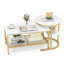 Table basse avec rangement Javarrius-1053730217
