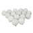 Blanc hivernal