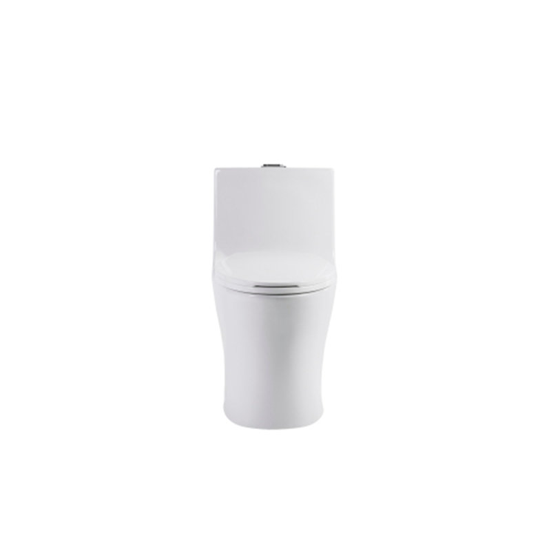 Elongated Dual-Flush Comfort Height Toilet with S-Trap and Tank-Top Button