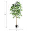 Ficus artificiel 6 pi avec tronc naturel