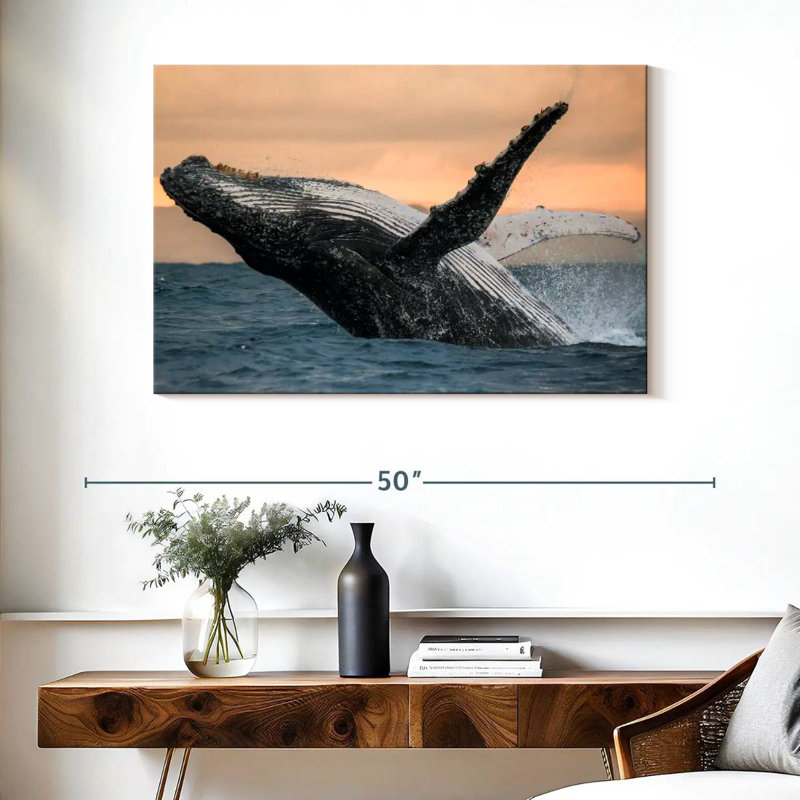 Brampt Humpback Whale Toss, 26" H x 39" W