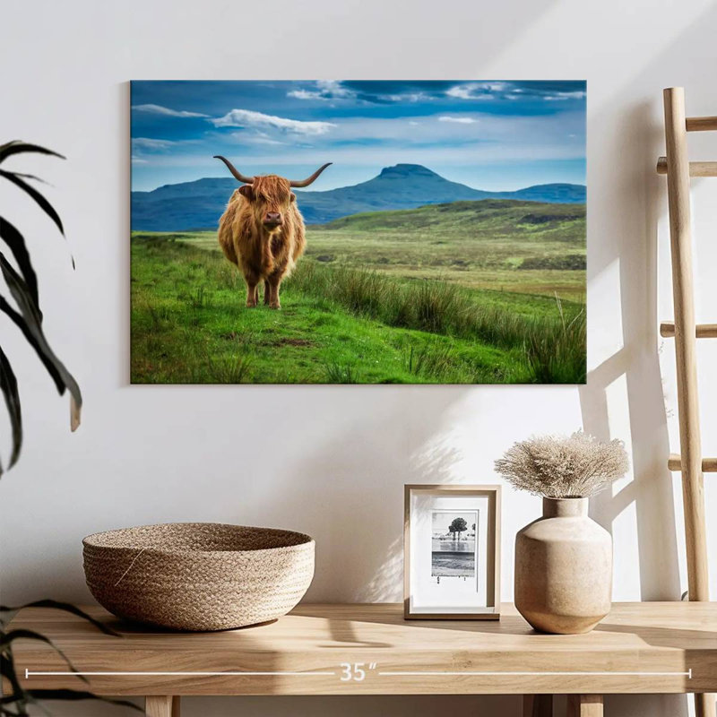 Brampt Skye Highland Cow, H 16 po x l 24 po