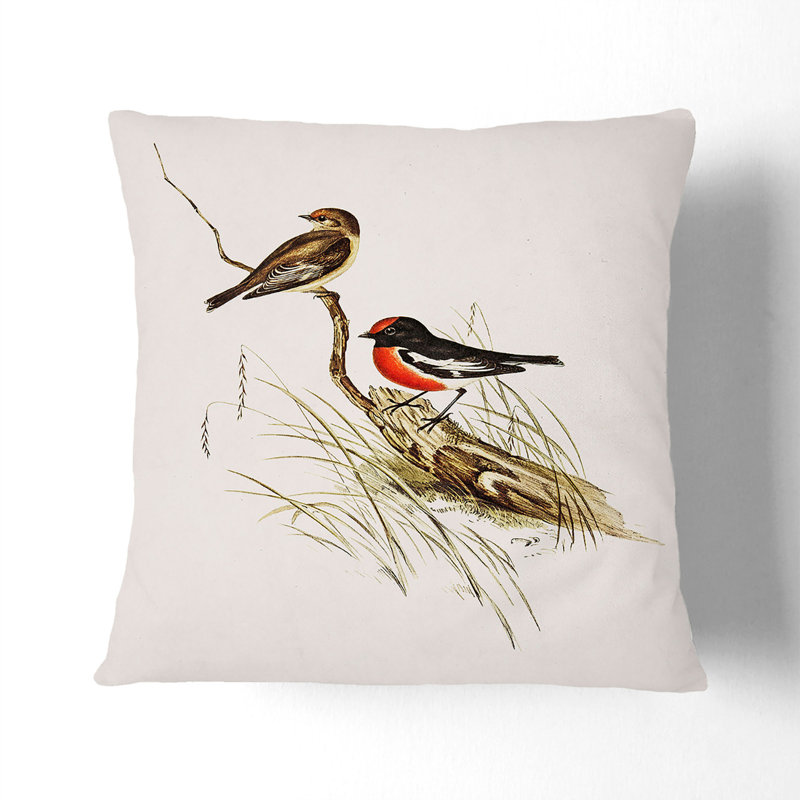 Square Throw Cushion, 55cm H x 55cm W x 20cm D