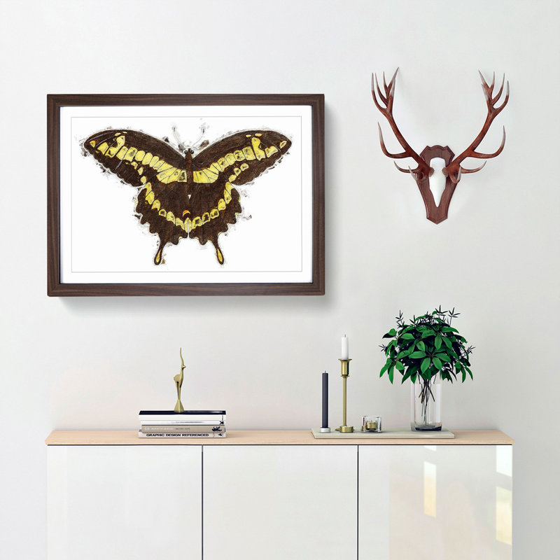 A Papilio Butterfly by George Shaw - Framed Print, 24cm H x 33cm W x 2cm D, Walnut Framed