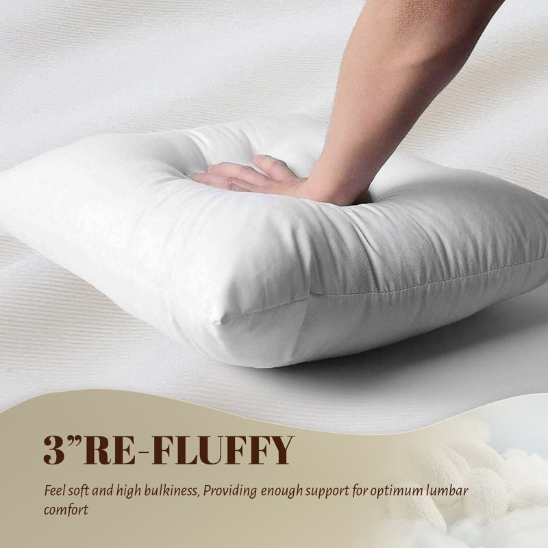 100% Cotton Shell Feather Down Soft Medium Throw Pillow Inserts(Set of 2), 22"H x 22"W
