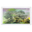 Forest For The Trees Acrylic Rectangle Decorative Tray