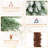 5' Lighted Pine Christmas Tree