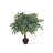 36'' Faux Bonsai Tree in Pot