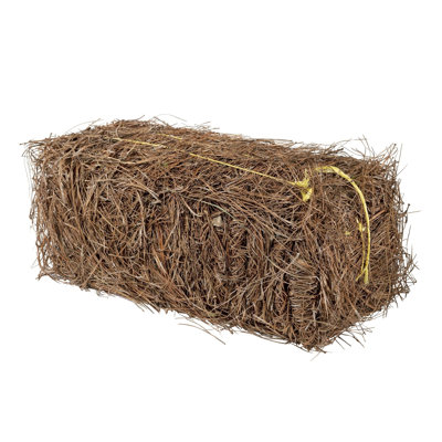 Nyella Long Leaf Pine Straw Bale