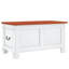 Camp Trunk / Footlocker-600967068
