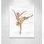Ballet toute la journée 3-48187468-48187456