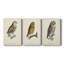 French Owls I - Toile tendue avec châssis sur mesure - 3 pièces-2043459645
