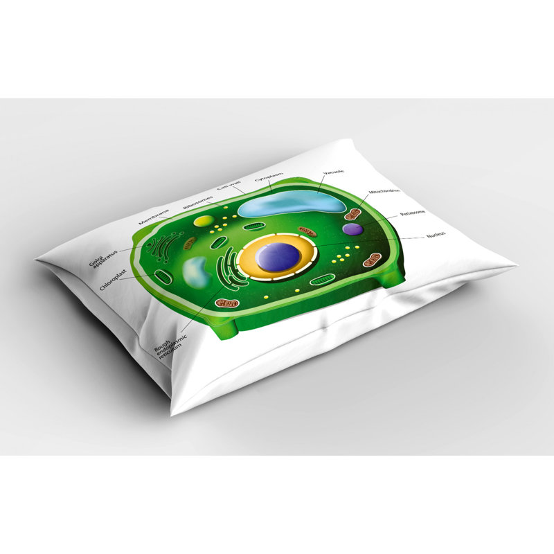 Educational Polyester Sham Set, Twin