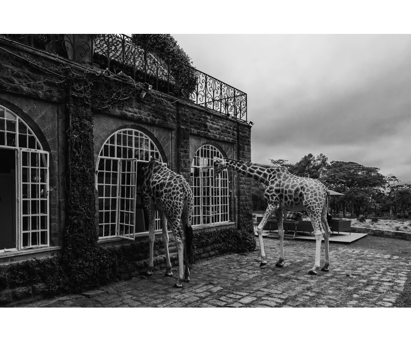 Wrapped Canvas Print, 50.8 cm H x 76.2 cm W