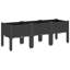 Aizzaddin Planter Box-837465870