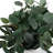 Uttermost Essence Eucalyptus Accent & Vase