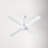 Ball 52'' Ceiling Fan with LED Lights-386566817-386566878-386566879
