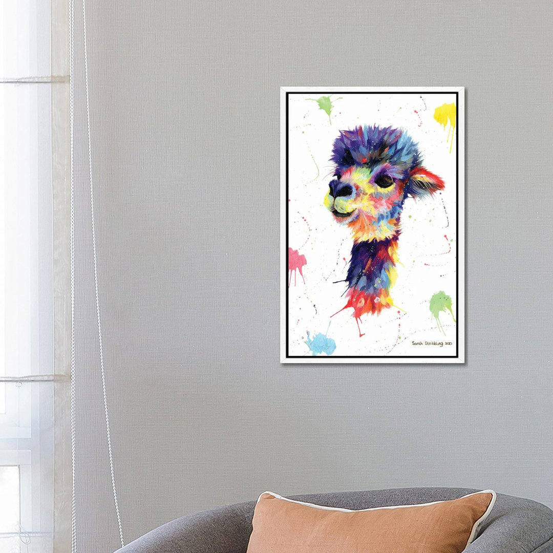 Multicolor Alpaca von Sarah Stribbling - Galerie-verpackte Leinwand Giclée auf Leinwand