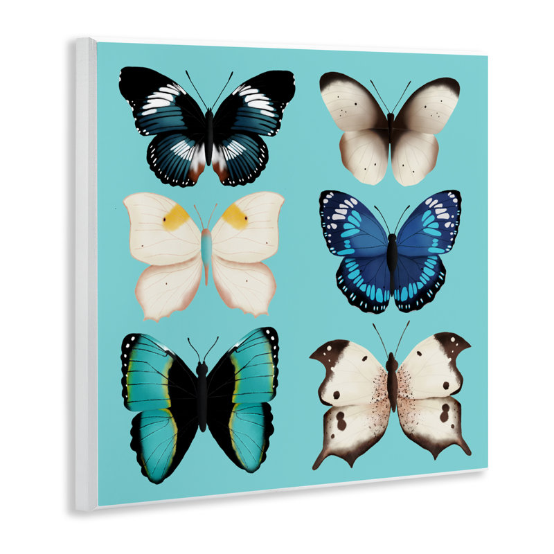 «Six Diverse Butterflies on Turquoise», plaque par Metka Hiti