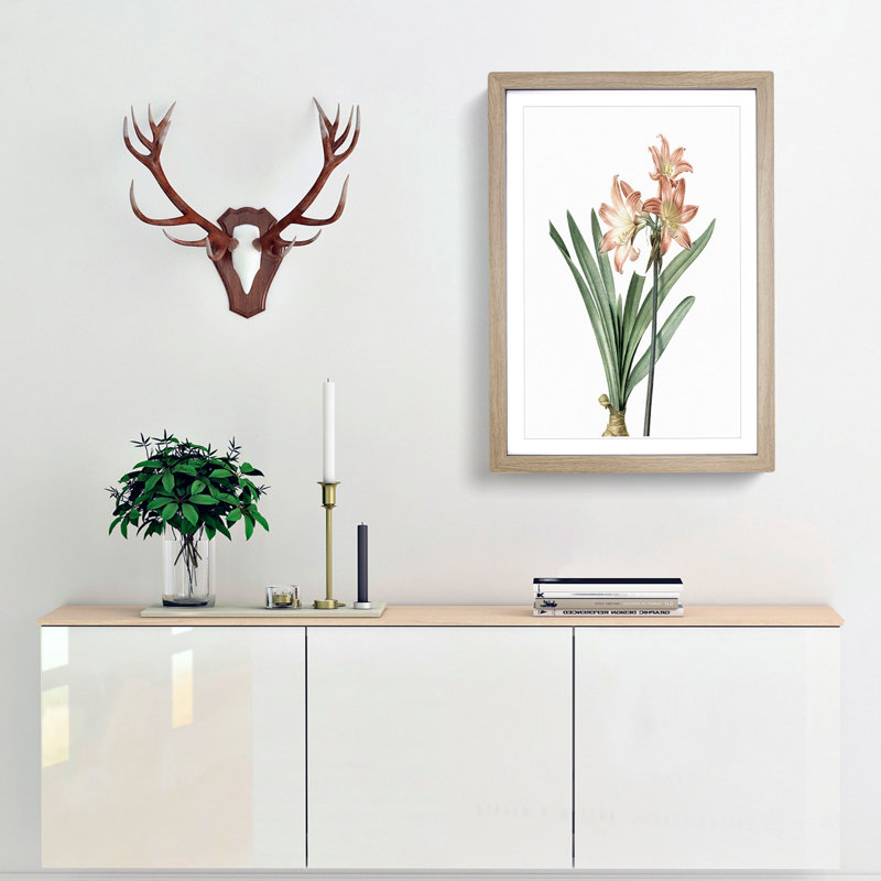 Amaryllis Flowers In Pink by Pierre-Joseph Redoute - Single Picture Frame Painting, 63cm H x 45cm W x 2cm D, Oak Framed
