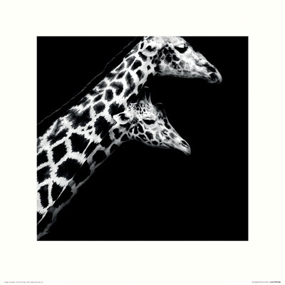 In Love II 1 Piece Wall Art