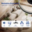 Ceiling Fan-641185851