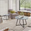 Ensemble de tables basses gigognes Seiji