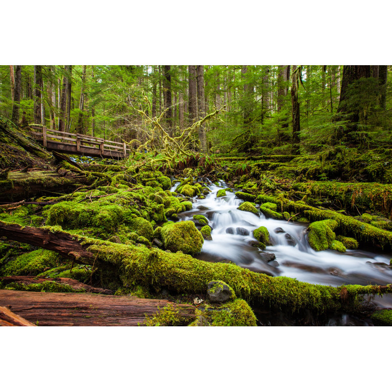 «Beautiful Cascade Waterfall» par Kanonsky - photographie sur toile tendue, L 12 po x H 8 po